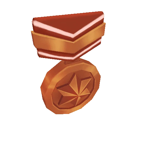 45_bronz medal